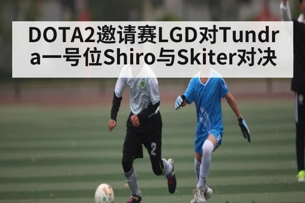 DOTA2邀请赛LGD对Tundra一号位Shiro与Skiter对决